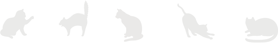 しまかわ たいき | プロボクサー活動 猫 交通事故 緊急事態